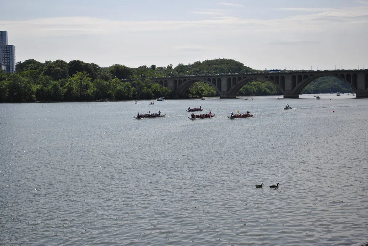 DC Dragon Boat Festival at Georgetown Waterfront Park
